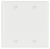 2137W-BOX WHT BLANK PLATE 2G
